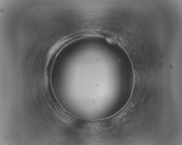 X0000074940294200609011123