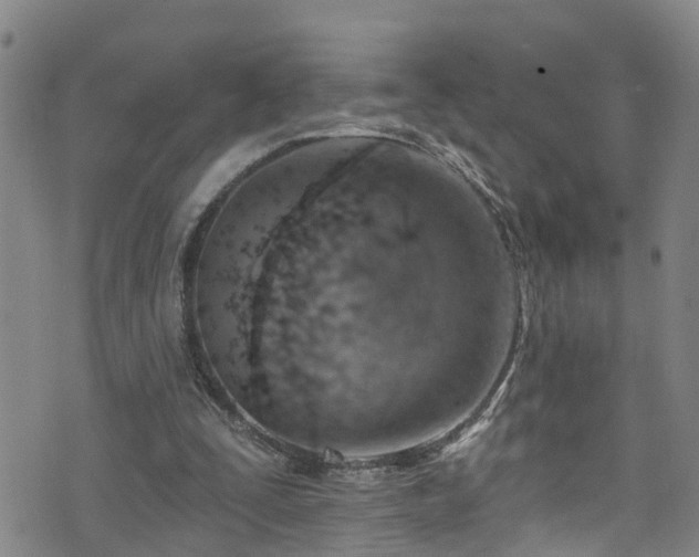 X0000074940295200609011123