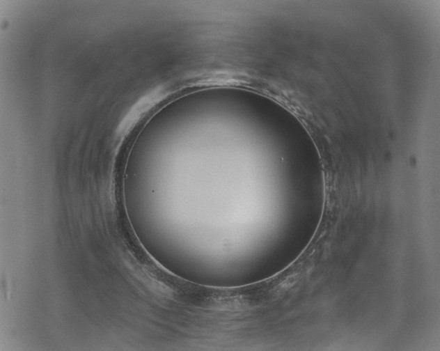 X0000074940296200609011122