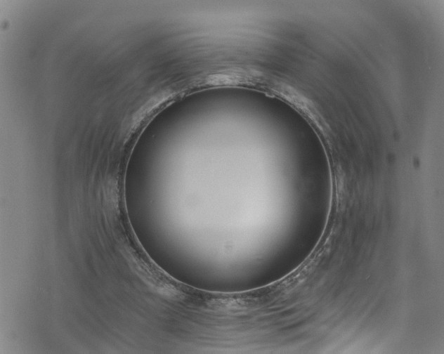 X0000074940297200609011122