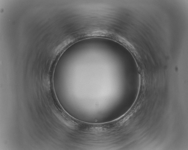 X0000074940298200609011122