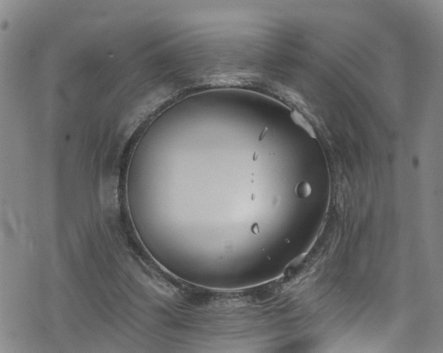 X0000074940299200609011122