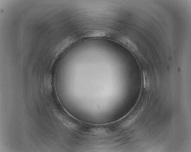 X0000074940300200609011122