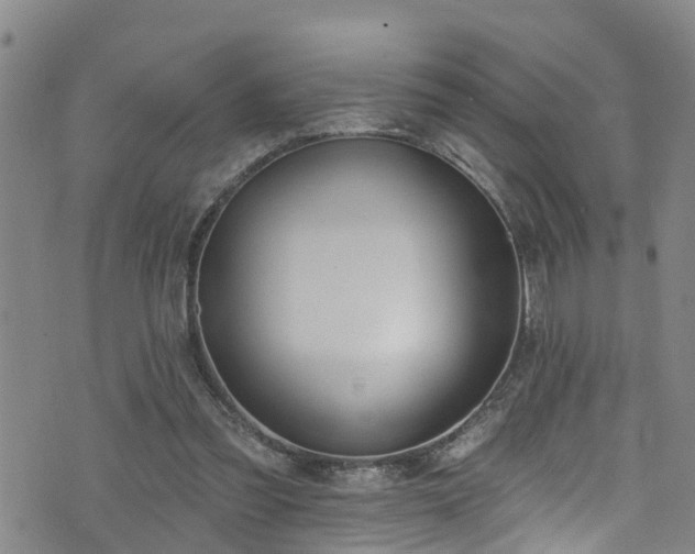 X0000074940301200609011122