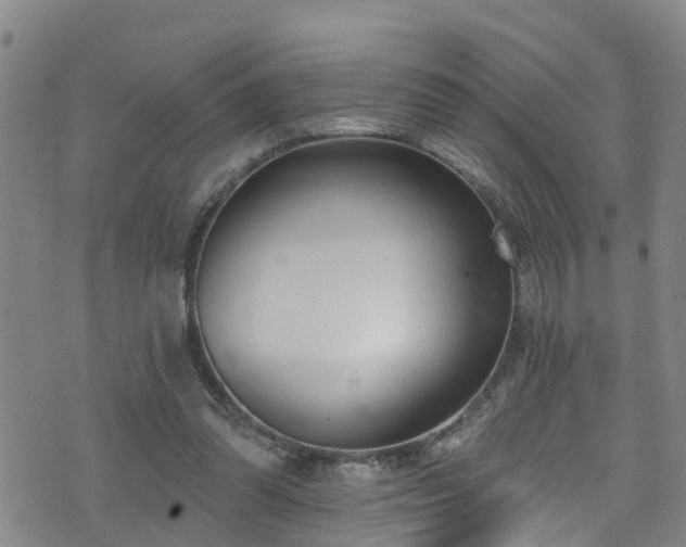 X0000074940302200609011122