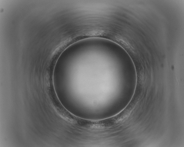 X0000074940303200609011122