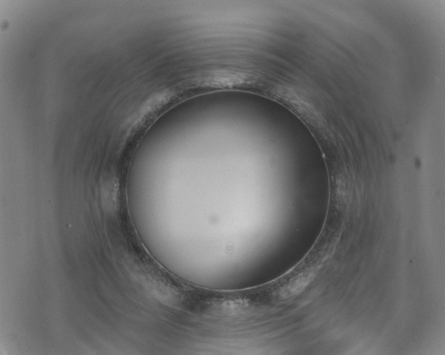 X0000074940304200609011122