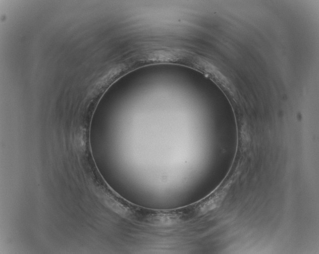 X0000074940305200609011122