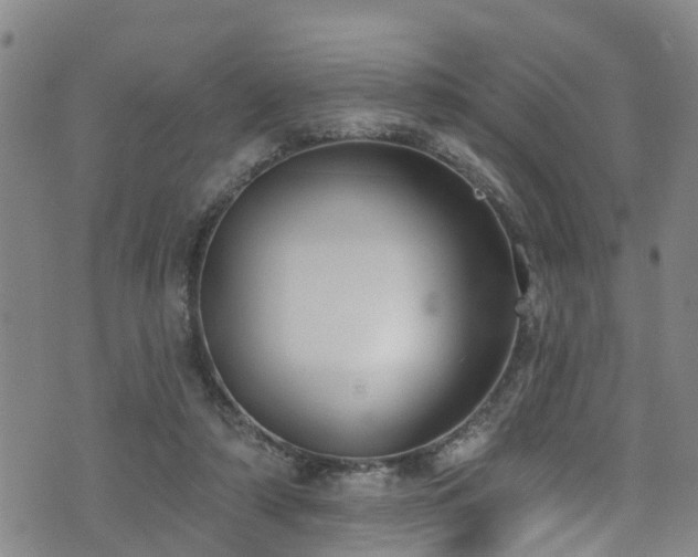 X0000074940306200609011122