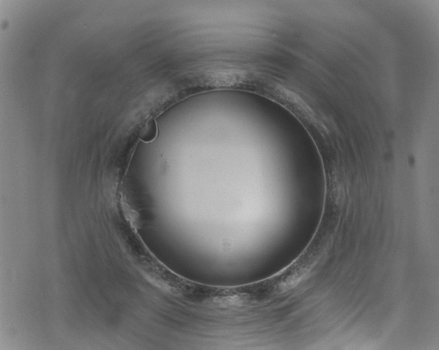 X0000074940307200609011122