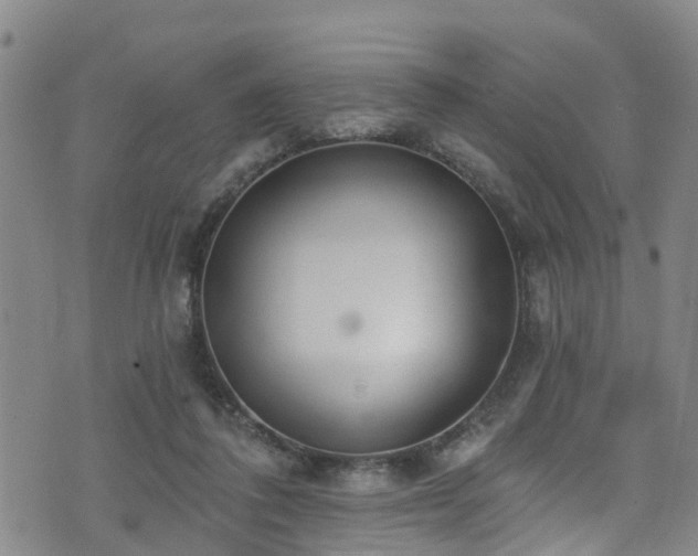 X0000074940308200609011122