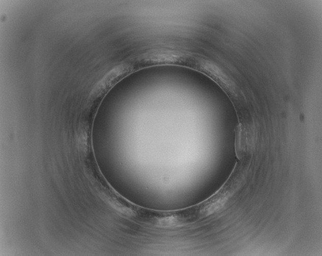 X0000074940309200609011122