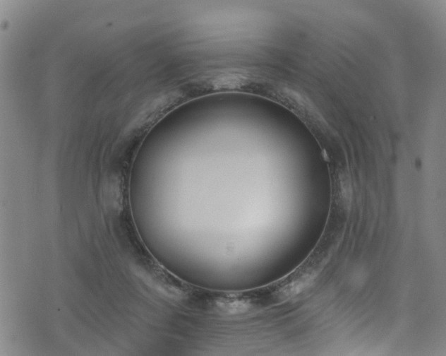 X0000074940311200609011122