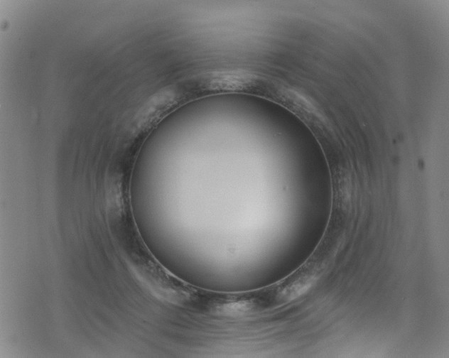 X0000074940312200609011122