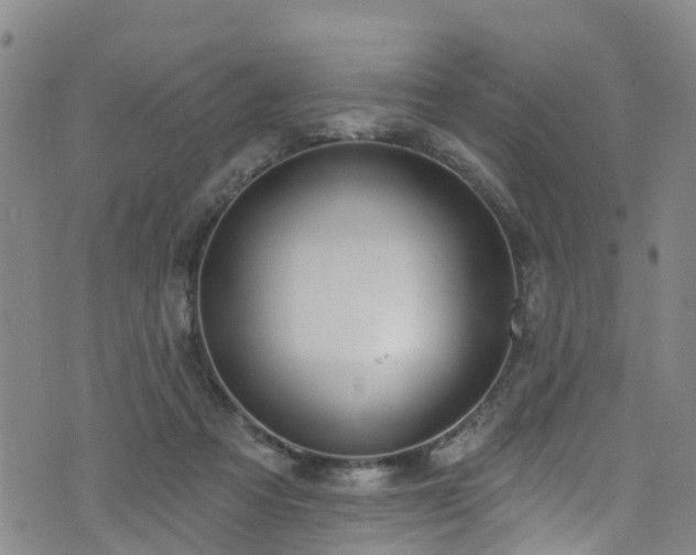 X0000074940313200609011122