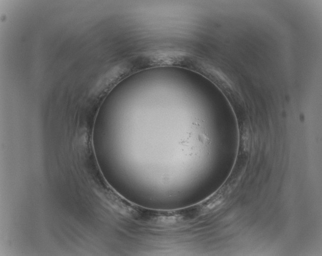 X0000074940314200609011122