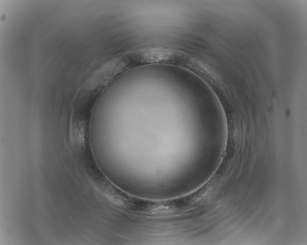 X0000074940315200609011122