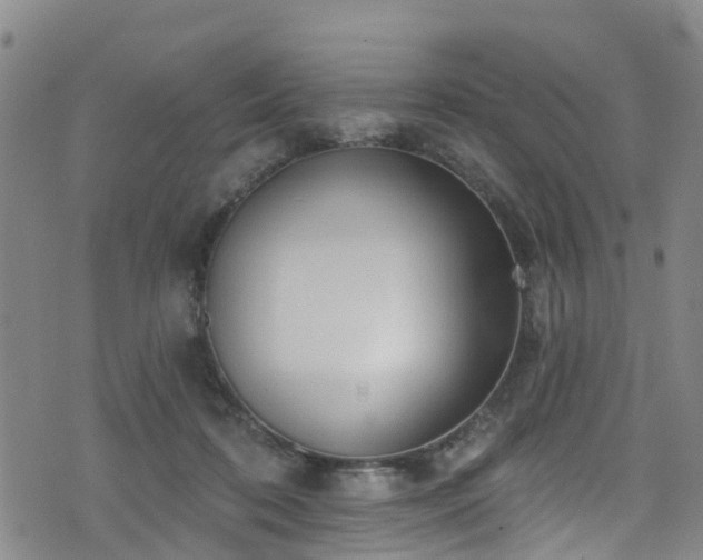 X0000074940316200609011122