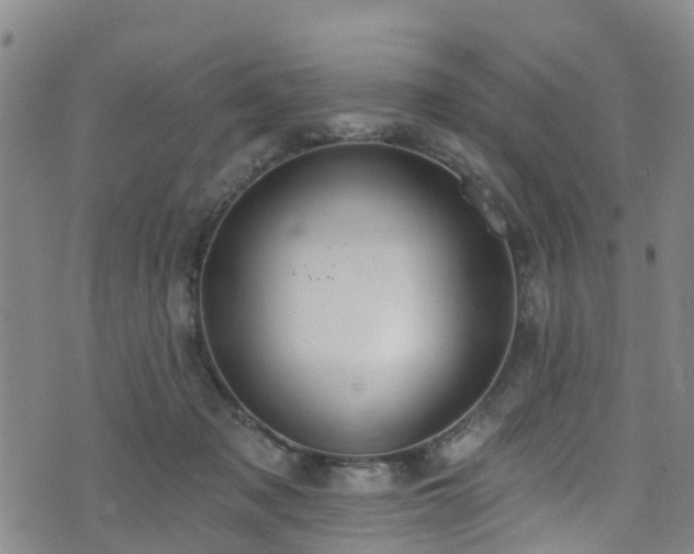 X0000074940317200609011122