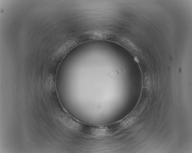 X0000074940318200609011122