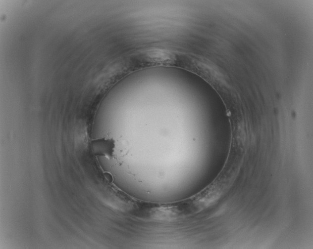 X0000074940320200609011122