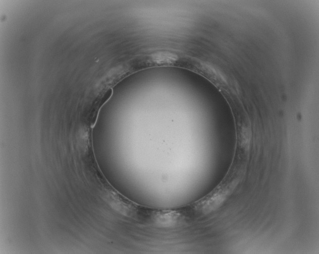 X0000074940321200609011122