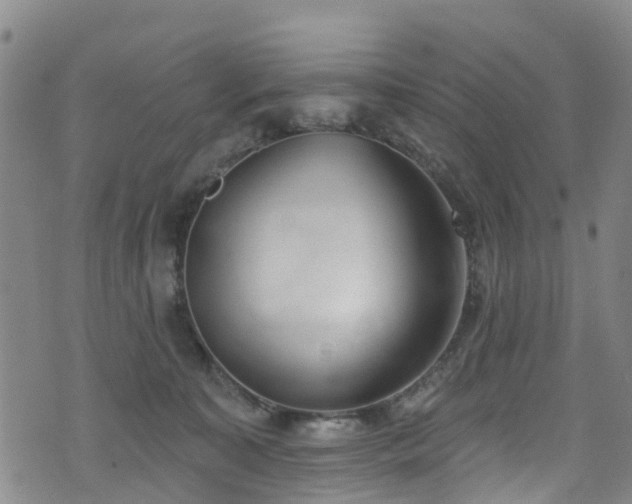 X0000074940323200609011122