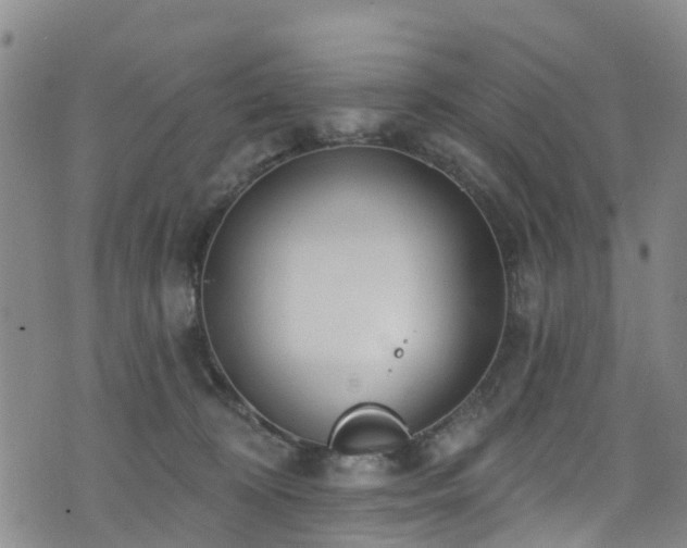 X0000074940324200609011122