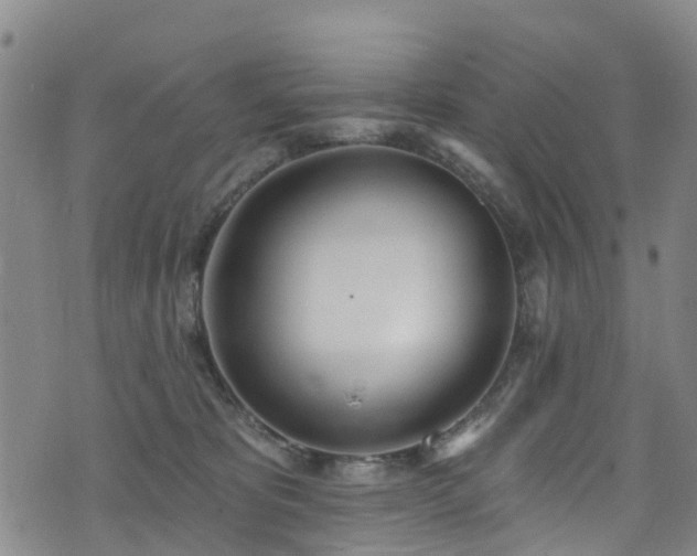 X0000074940325200609011122