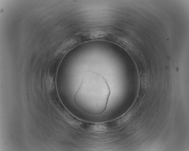 X0000074940327200609011122