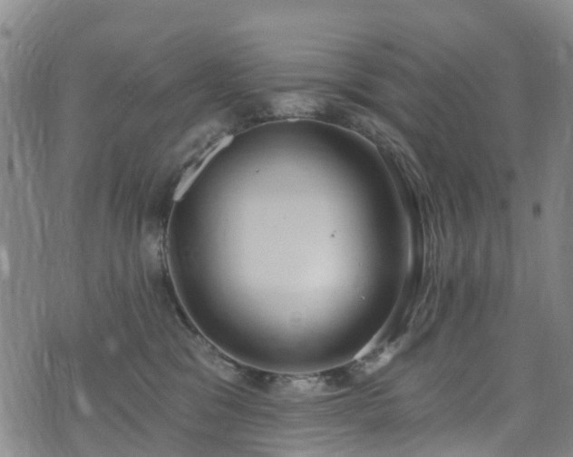 X0000074940329200609011122