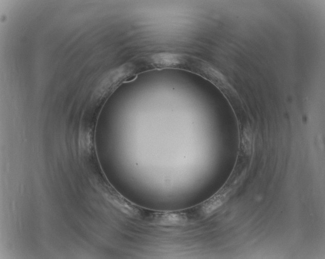 X0000074940330200609011122