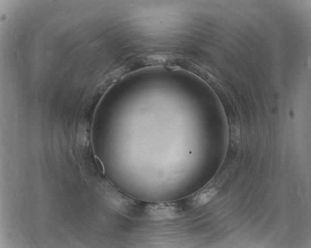 X0000074940331200609011122