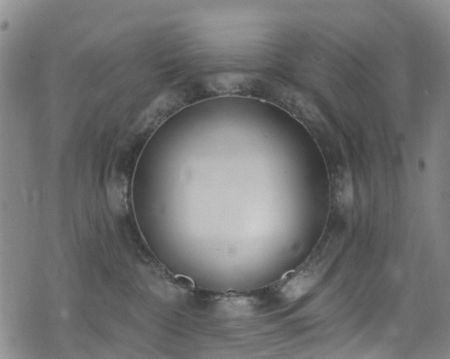 X0000074940332200609011122