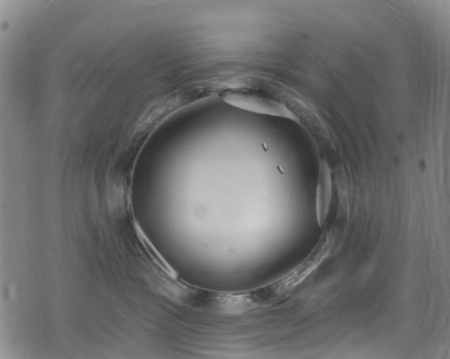 X0000074940333200609011122