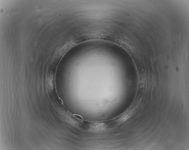 X0000074940334200609011122