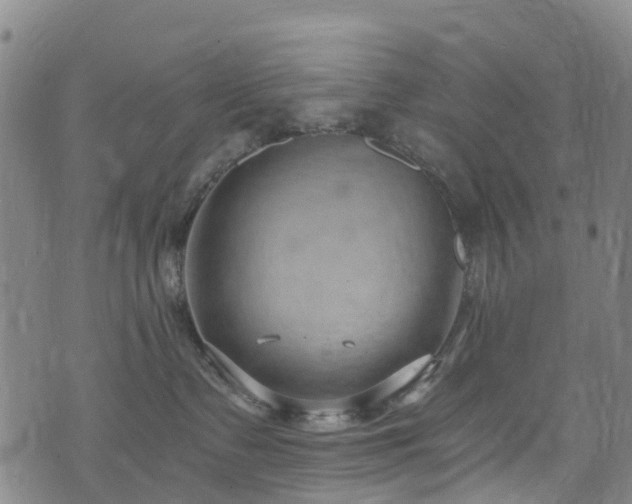 X0000074940335200609011122