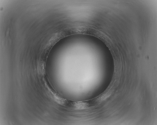 X0000074940336200609011122