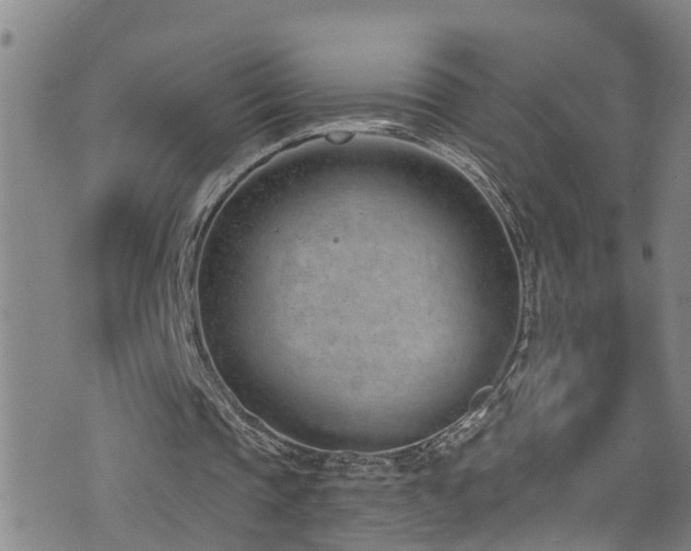 X0000074940337200609011121