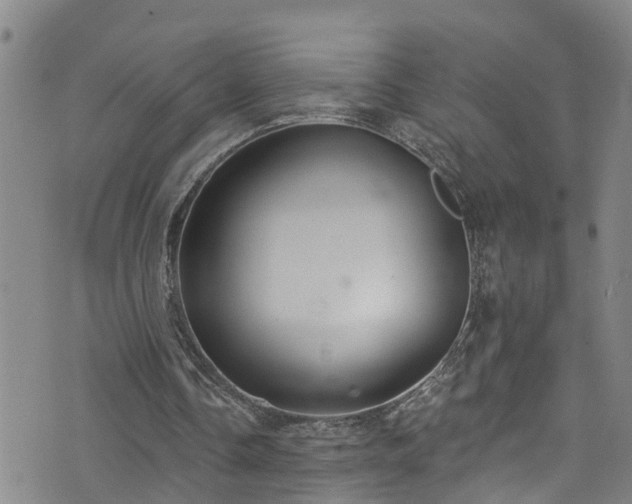 X0000074940338200609011121