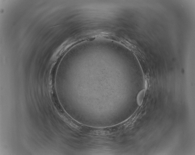 X0000074940339200609011121