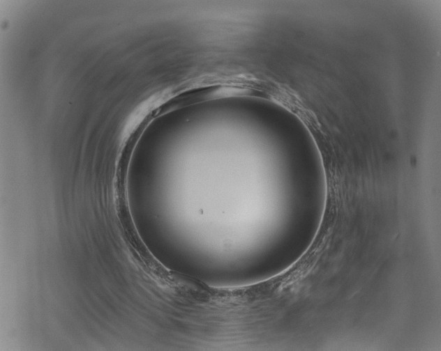 X0000074940340200609011121