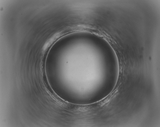 X0000074940341200609011121