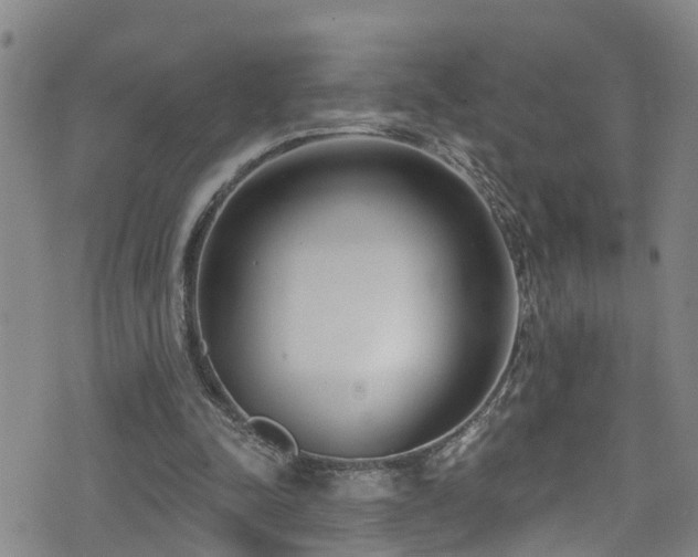 X0000074940342200609011121