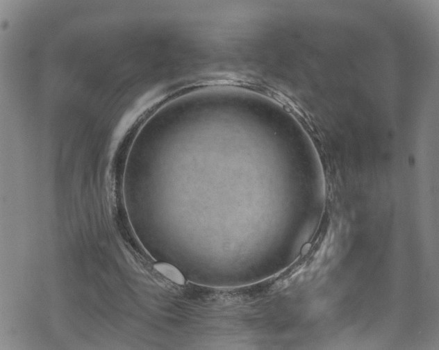 X0000074940343200609011121