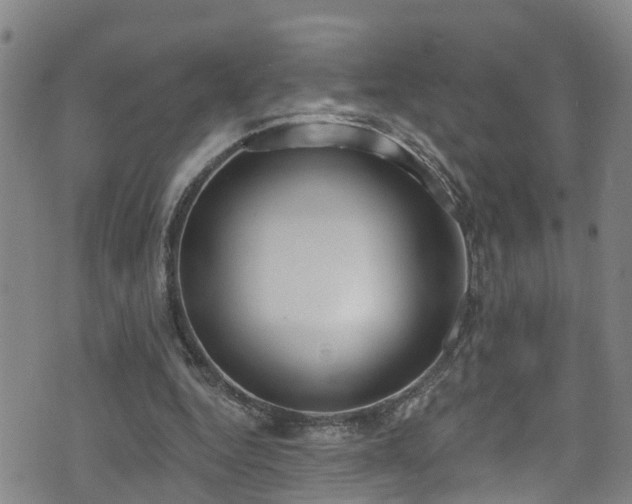 X0000074940344200609011121