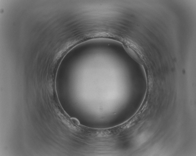 X0000074940345200609011121