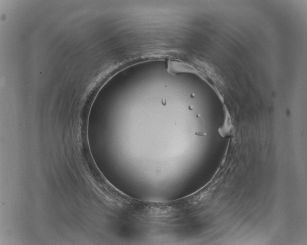 X0000074940346200609011121