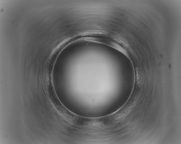 X0000074940348200609011121