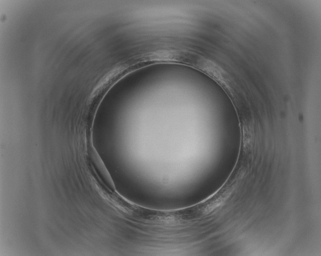 X0000074940349200609011121